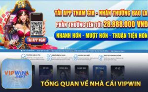 Tổng Quan Về Nhà Cái Vipwin